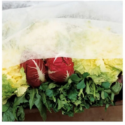 Velo protezione in TNT 17