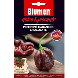Blumen Peperone Habanero Chocolate características