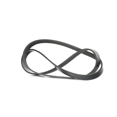 RIDEX Cinghia Poly-V 305P0363  HYUNDAI,ALFA ROMEO,FIAT,GETZ (TB),MATRIX (FC),ACCENT II (LC),ACCENT II Stufenheck (LC),MITO (955),GIULIETTA (940)