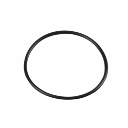 Guarnizione di ricambio per contenitore prima di 12/1995 (X 12) - Diff características