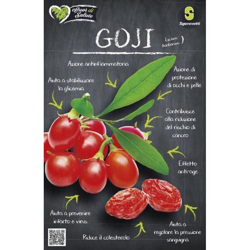 Cuor di Salute Semi di Goji - Sgaravatti en oferta