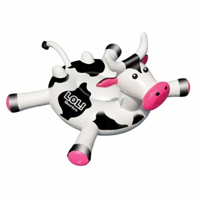 Boa di Eustachio Mucca