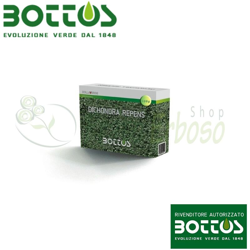 Bottos - Dichondra Repens - Sementi per prato da 100 g en oferta