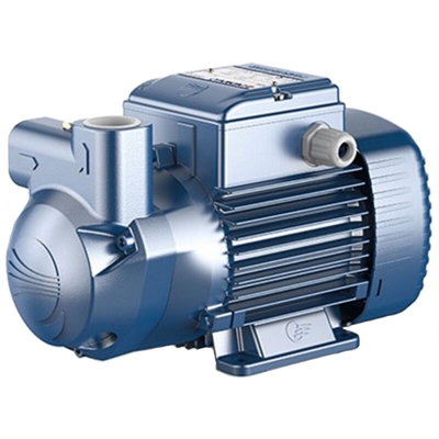 Pedrollo CKm80 pompa autoadescante ad anello liquido Monofase 0,55 kW per pompare acqua con gas professionale per uso industriale