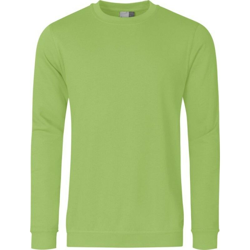 Dimensioni Maglione M, Calce Selvaggia en oferta