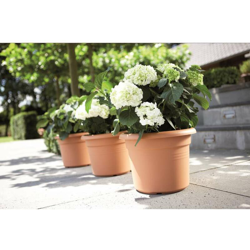 Cilindro Beige Naturale Ø 25 cm precio