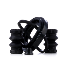 RIDEX Kit Revisione Pinze Freno 405R0135 Kit riparazione, Pinza freno AUDI,VW,SKODA,A3 Schrägheck (8P1),A3 Sportback (8PA),A3 Schrägheck (8L1) características