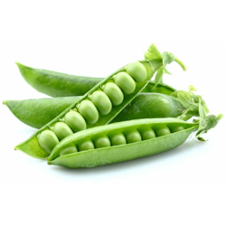 Hortusì - SEMI DI PISELLO piselli MEZZA RAMA UTRILLO 1 KG HORTUS precio
