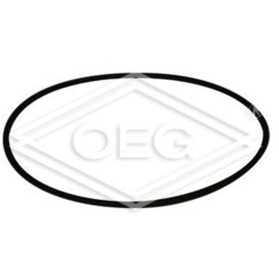Guarnizione stagna D93x3 MM4 - GEMINOX : 63002998