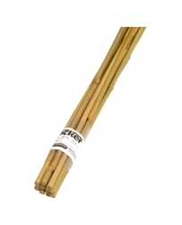 REGGIPIANTE IN BAMBÙ 210 cm características