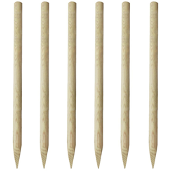 Asupermall - Paletti di Recinzione per Prato 6 pz in Legno 170 cm características