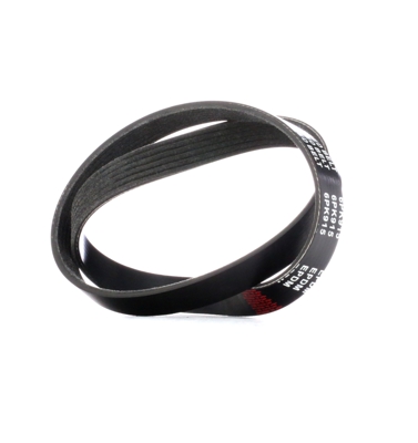 RIDEX Cinghia Poly-V 305P0358  CITROËN,FORD,PEUGEOT,JUMPER Kasten (230L),JUMPER Pritsche/Fahrgestell (230),JUMPER Bus (230P),FIESTA III (GFJ)