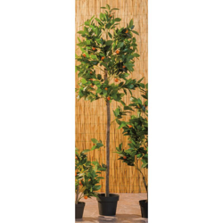 Mandarino in Vaso per Decorazione Dimensione cm 20x180 MANDARINO IN VASO PER DECORAZIONE D.20X180H | PZ precio