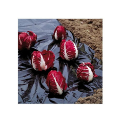 telo per pacciamatura nero 1.5x20m 6762 - Verdemax precio