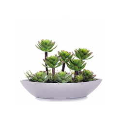 Vaso rettangolare da Balcone Verde Roșie Ovalada precio