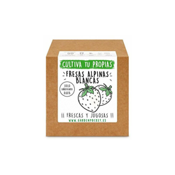 Garden PocketÂ âÂ Kit coltivazione fragole bianche características