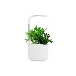 tregren T3 orto di interno collegato 3 Piante, Kit pronto a spingere e fioriera Libera installazione per erbe aromatiche, piccoli verdura, fiori – precio