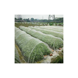 N/U Rete per piante, zanzariera, fine, 0,8 mm, motivo dettagliato, utilizzabile in giardino, frutteto, zanzariera, rete per uccelli (40 maglie 2,5 x en oferta
