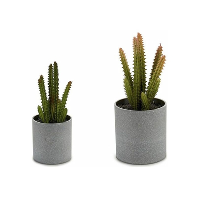 Vaso Mic Cactus (7,5 x 19 x 7,5 cm)