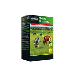 Semi di prato R.G. Wester Vallivert 1 kg â Batlle en oferta