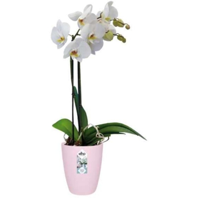 Elho Vaso Orchidee Brussels Orchid High 12,5Cm Soft Pink