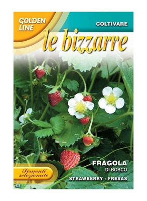 SEMENTI DI FRAGOLA DI BOSCO orto giardino semi seeds