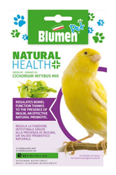 Semi Mix Cicorie Fantasia - Canarino Blumen en oferta