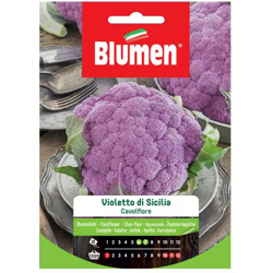 Semi Cavolfiore Violetto Sicilia Blumen precio