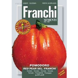 Semi Pomodoro Red Pear Franchi Sementi precio