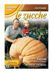 SEMENTI DI ZUCCA ATLANTIC GIANT orto giardino semi en oferta