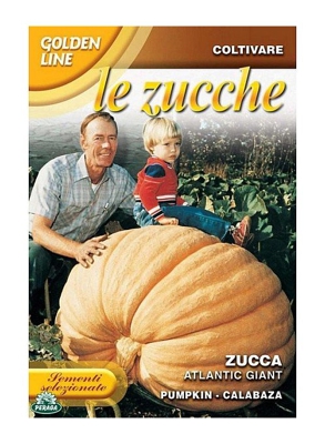SEMENTI DI ZUCCA ATLANTIC GIANT orto giardino semi
