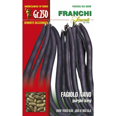 Semi Fagiolo Nano Purple King Gr.100 Franchi Sementi