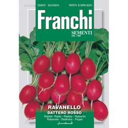 Bustina Semi Di Ravanello Dattero Rosso Orto Giardino Semi en oferta