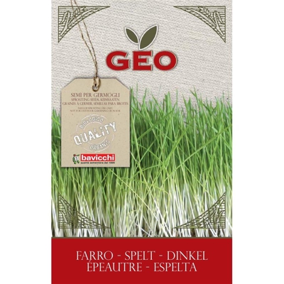 Semi Bio Di Farro Per Germogli 80Gr Semenzaio Sementi Seeds