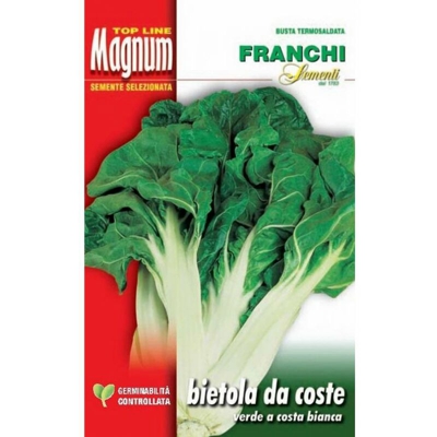 Semi Bietola Da Costa Verde A Costa Bianca Busta Magnum Franchi