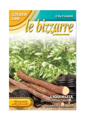 Bustina Con Semi Seeds Di Liquirizia Glabra Officinali Orto Giardino