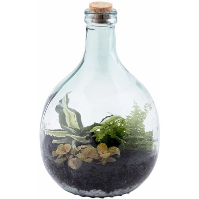 Set Ecosistema Terrarium In Vetro 5 Lt + 2 Attrezzi Peragashop Piante Vaso Serra Terrario