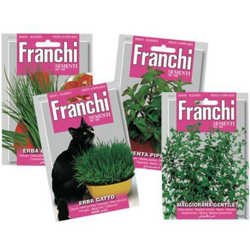 Semi Lavanda Vera Franchi Sementi características