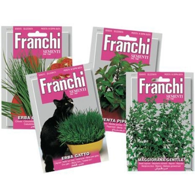 Semi Lavanda Vera Franchi Sementi