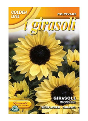 Sementi di Girasole moonshine giardino fiori semi seeds precio