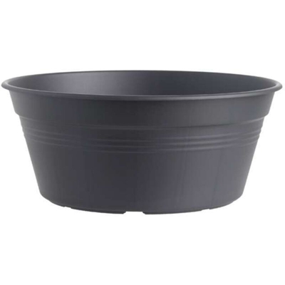 Vaso Per Bulbi Green Basics Bowl 33Cm Living Black Elho