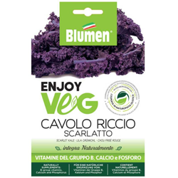 Semi Cavolo Riccio Porpora Enjoy Veg Blumen en oferta
