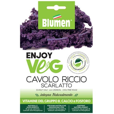 Semi Cavolo Riccio Porpora Enjoy Veg Blumen