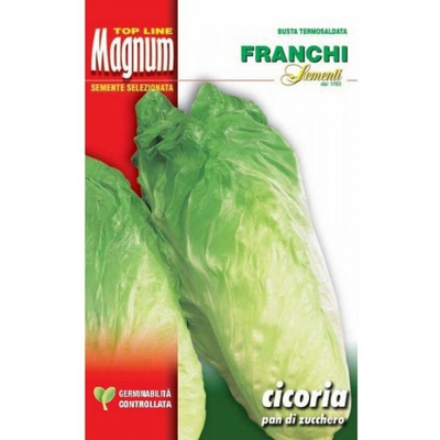 Semi Cicoria Pan Di Zucchero Franchi Sementi