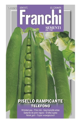 Semi Pisello Rampicante Telefono Franchi Sementi