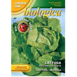 Semi Lattuga Regina D'Estate 2 Bio Franchi Sementi precio
