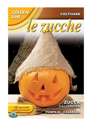 SEMENTI DI ZUCCA HALLOWEEN orto giardino semi seeds precio