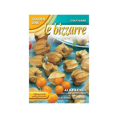 SEMENTI DI PHYSALIS ALKEKENGI orto giardino semi seeds