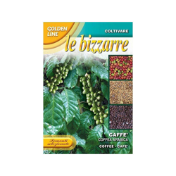 SEMENTI DI CAFFE' arabica orto giardino semi fiori seeds en oferta