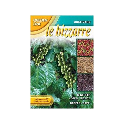 SEMENTI DI CAFFE' arabica orto giardino semi fiori seeds